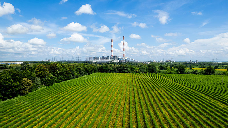 Agricultural fields – farming is one sector where parametric insurance can protect against droughts and floods.